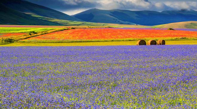 castelluccio