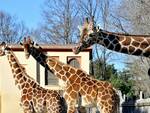 Bioparco di Roma - RDN