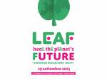 leaf 23