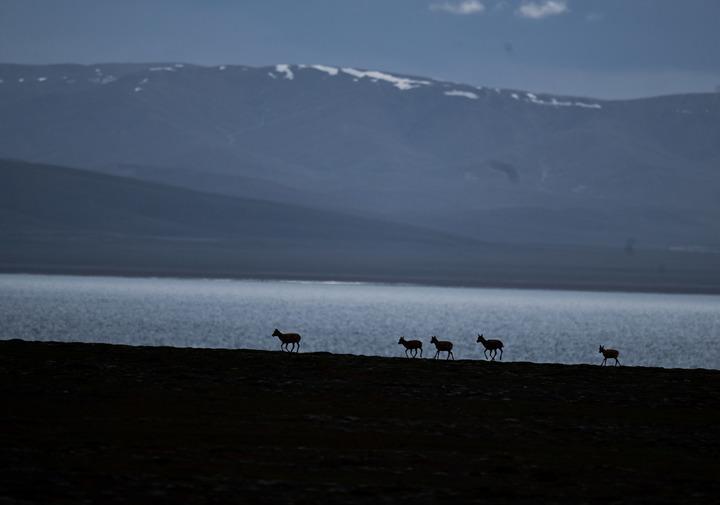 Tibet Cina 