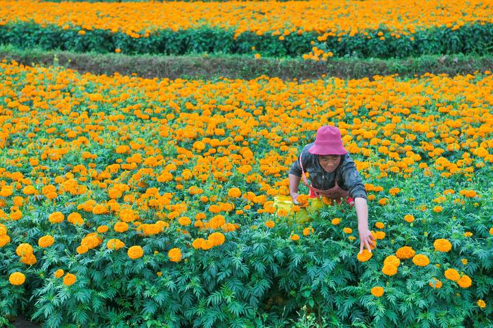 Cina Guizhou 