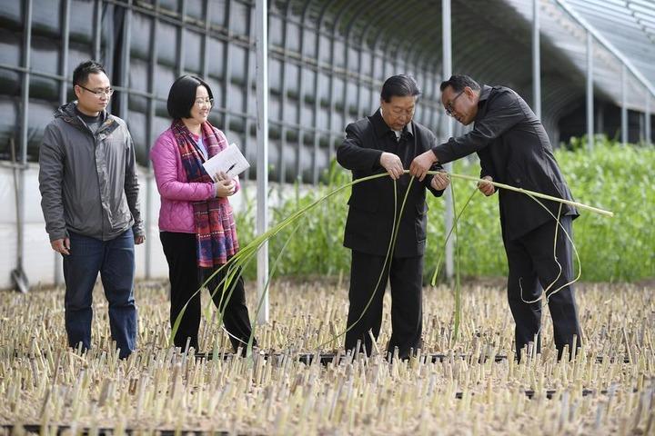 Cina tecnologia 