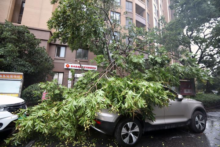 Cina: Shanghai colpita dal tifone Bebinca (3)