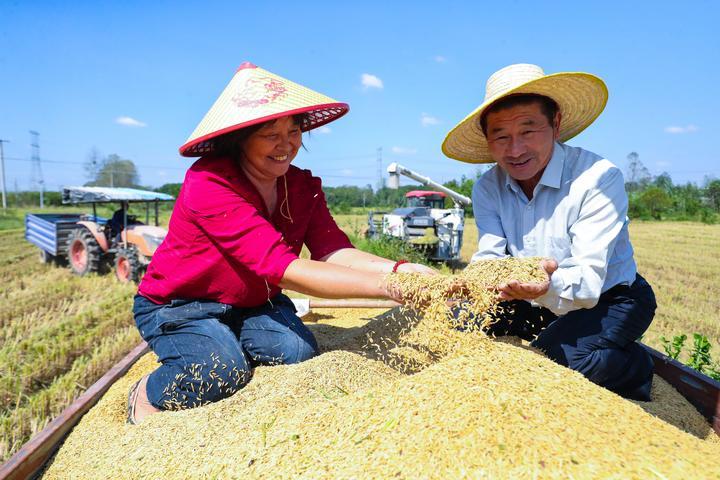 Cina: festival del raccolto dei contadini (1)