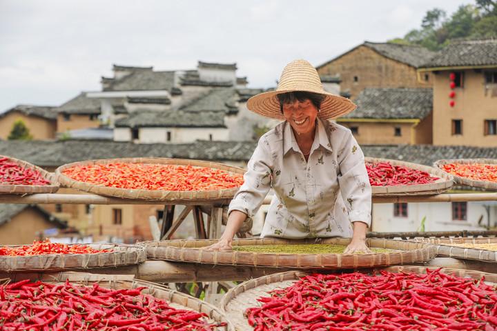 Cina: festival del raccolto dei contadini (2)